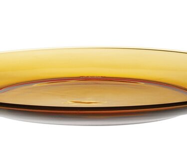 ASSIETTE PLATE 23.5  CMS VERME