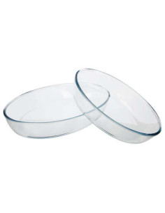PLATS CULINAIRES OVALES X2