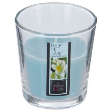 BOUGIE PFM VR FL TIAR NINA 90G