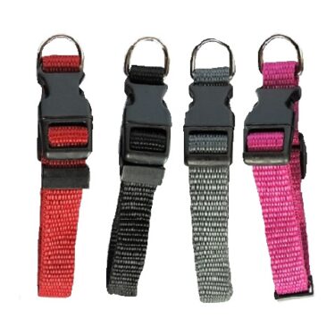 COLLIER NYLON PETIT MODELE REG