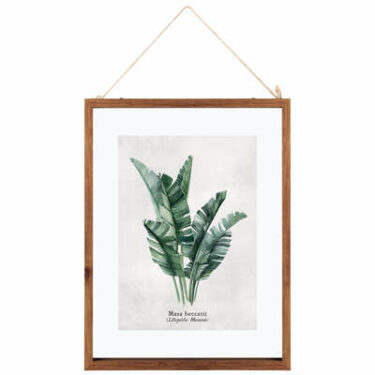CADRE VERRE FEUILLES 38*48