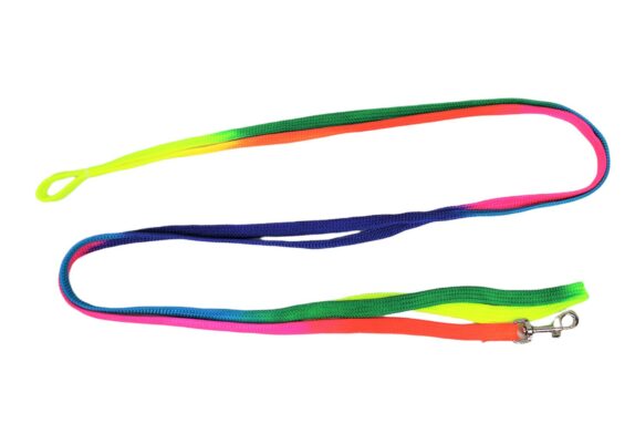 LAISSE CHAT ARC EN CIEL 10MMX2