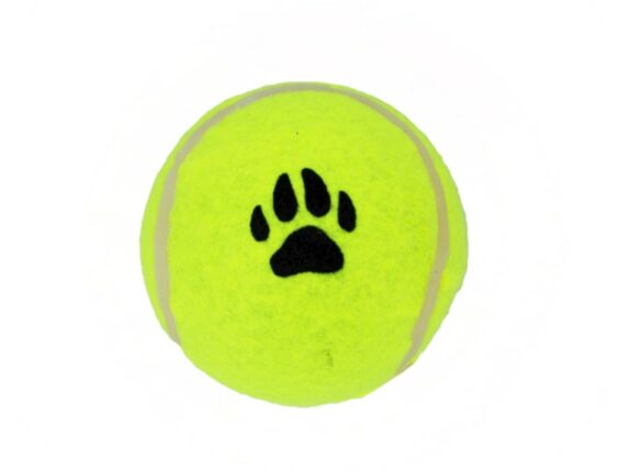 JOUET BALLE TENNIS TGM X1