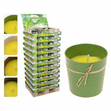 BOUGIE DANS ECO POT 2ASS CLR