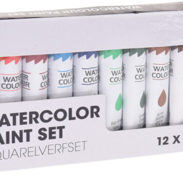 SET DE PEINTURE À L'EAU 12PCS