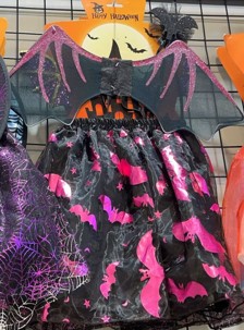 COSTUME HALLOWEEN TAILLE  3/5