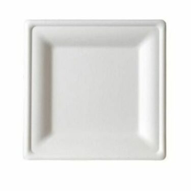 BIO ASSIETTE CARREE 20CM X 25