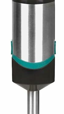 MIXER PLONGEANT 800W
