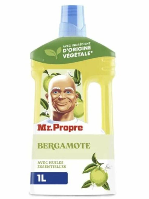 MR PROPRE TOUT USAGE 1L BERGAM