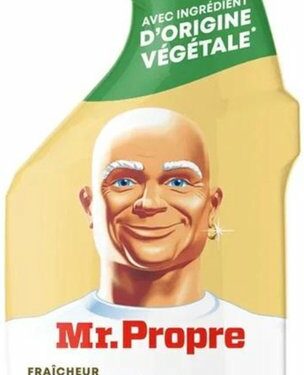 MR. PROPRE 500ML SPRAY MARSEIL