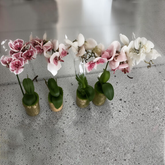 ORCHIDEES ASSORTIES