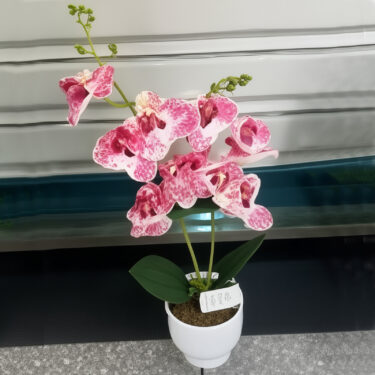 ORCHIDEES