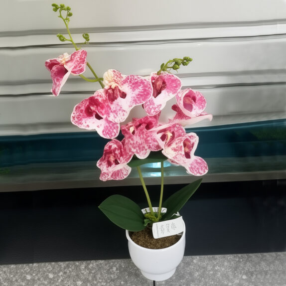 ORCHIDEES