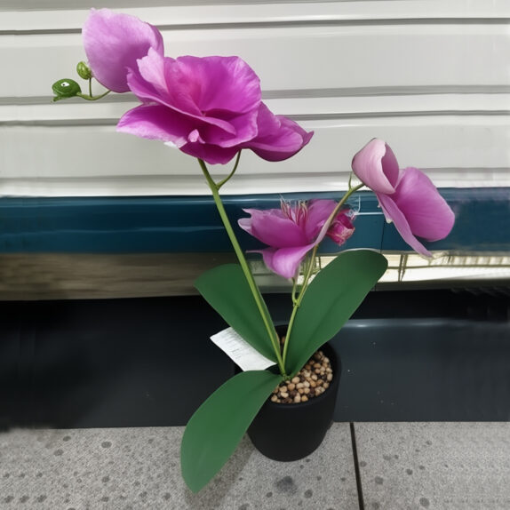 ORCHIDEES