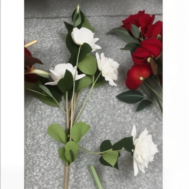ROSE BLANCHE