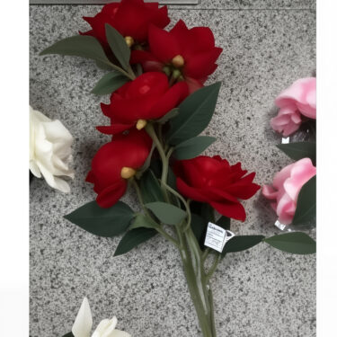 ROSE ROUGE