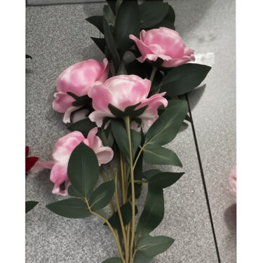 ROSE ROSE