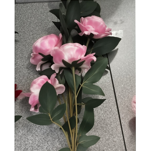 ROSE ROSE