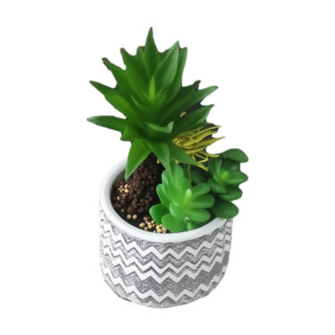 PLANTE VERTE