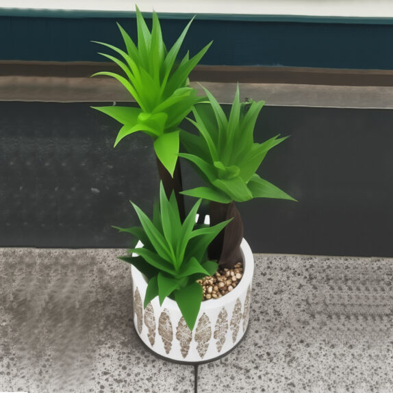 PLANTE VERTE