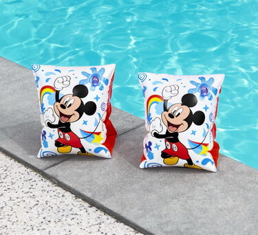 BRASSARDS DISNEY