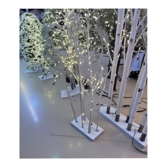 BUISSON LED