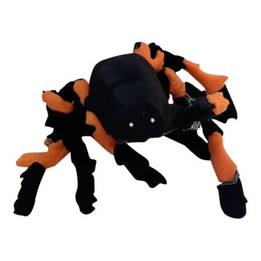 ARAIGNEE HALLOWEEN