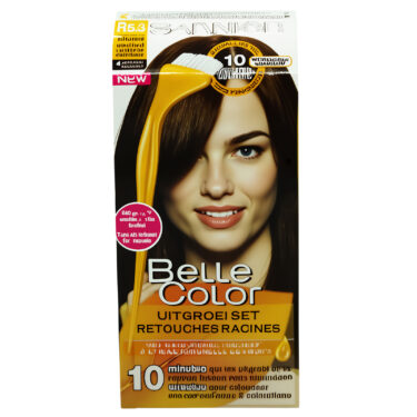 GARNIER COLOR R5.3 CHATAIN CLA
