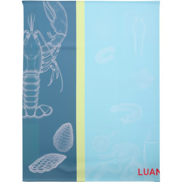 TORCHON JACQUARD 50X70CM COTON