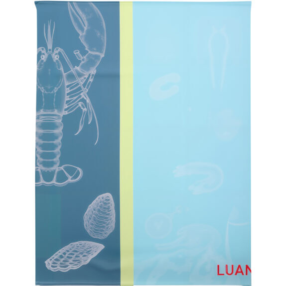 TORCHON JACQUARD 50X70CM COTON
