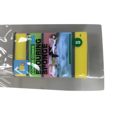 ENSEMBLE DE 5 ÉPONGES À RÉCURE