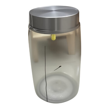 BOCAL EN VERRE