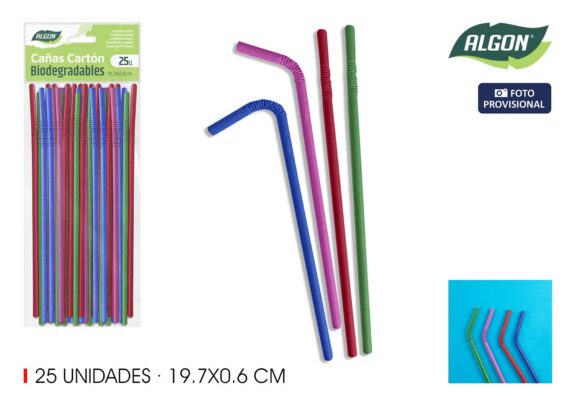 SET25 PAILLE FLEXIBLE 19,7X0,6