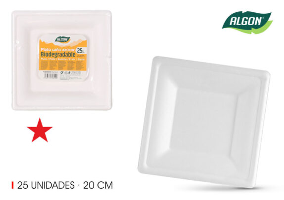 SET25 ASSIETTE 20X20 CANE A SU
