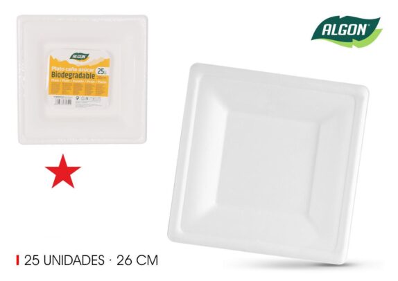 SET25 ASSIETTE 26X26 CANE A SU