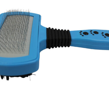 BROSSE CARDE DOUBLE DESIGN