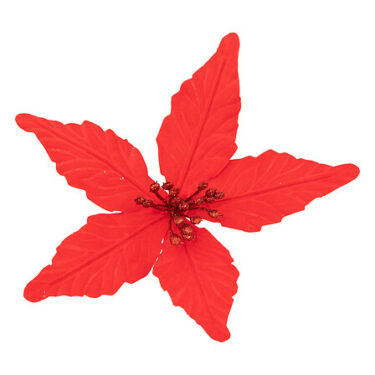 SDN POINSETTIA ROUGE 20CM