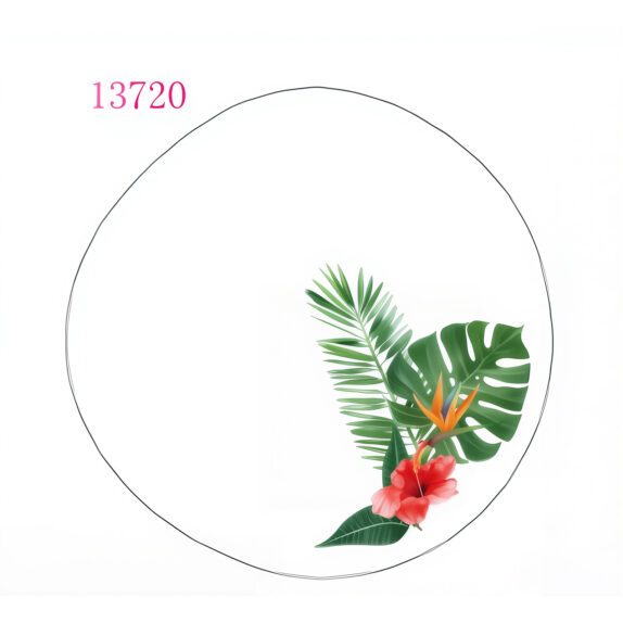 ASSIETTE CREUSE 23 CMS  HIBISC
