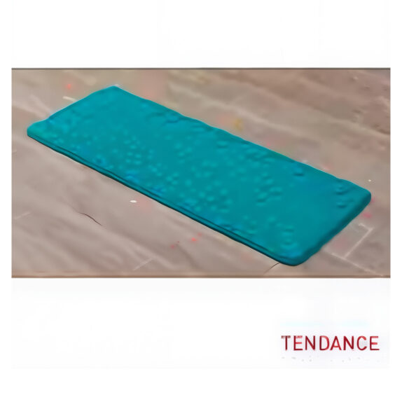 TAPIS GALET 45X120 BLEU CANARD
