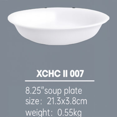 ASSIETTE CREUSE 21 CMS