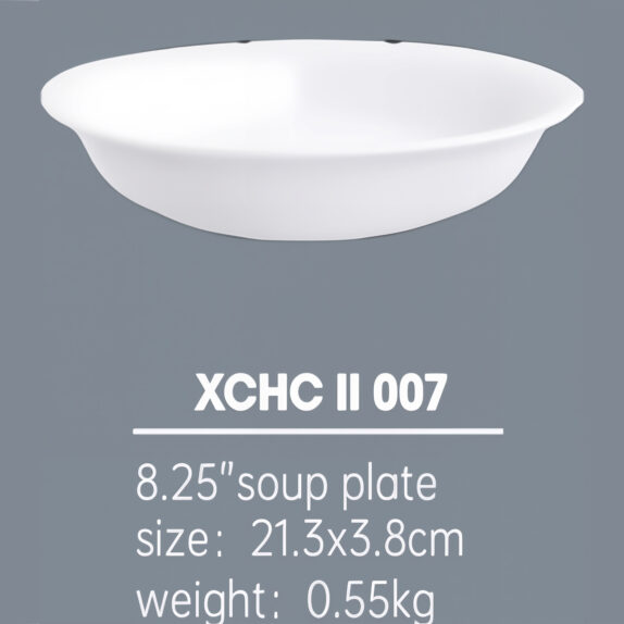 ASSIETTE CREUSE 21 CMS