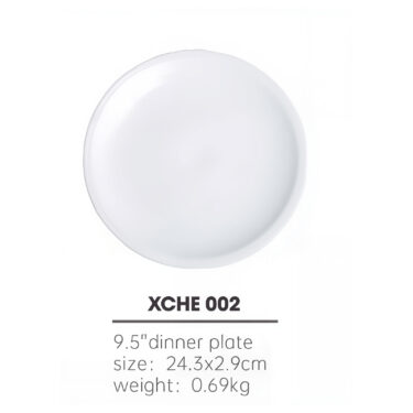 ASSIETTE PLATE 24 CMS