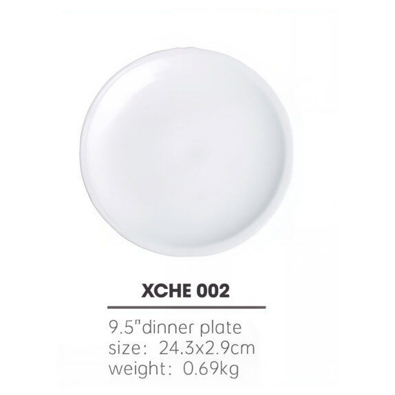 ASSIETTE PLATE 24 CMS