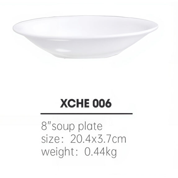 ASSIETTE CREUSE 21 CMS