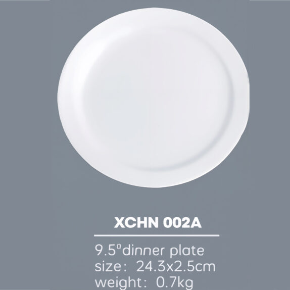 ASSIETTE PLATE 24 CMS
