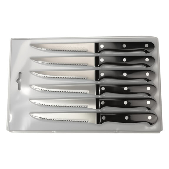 6 COUTEAUX A STEACK 10 CMS