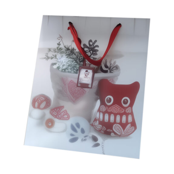 SAC CADEAU NOEL