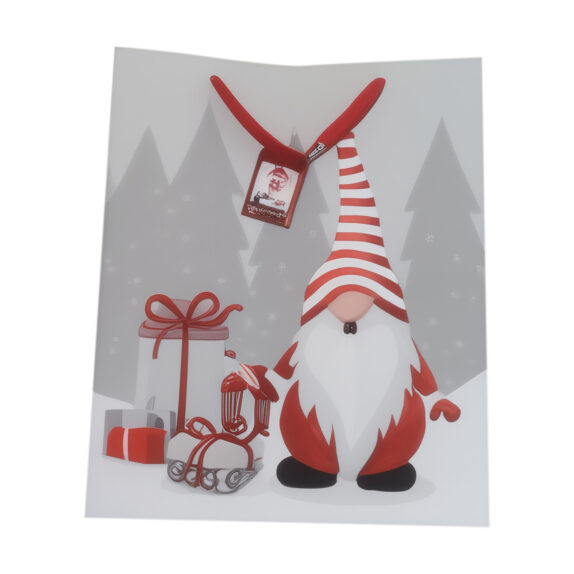 SAC CADEAU NOEL