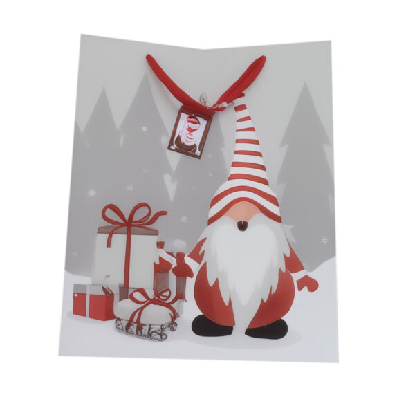 SAC CADEAU NOEL