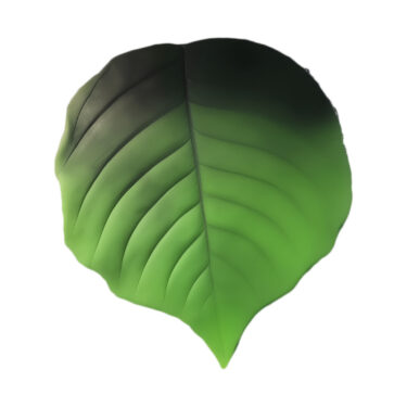 SET DE TABLE FEUILLE VERTE